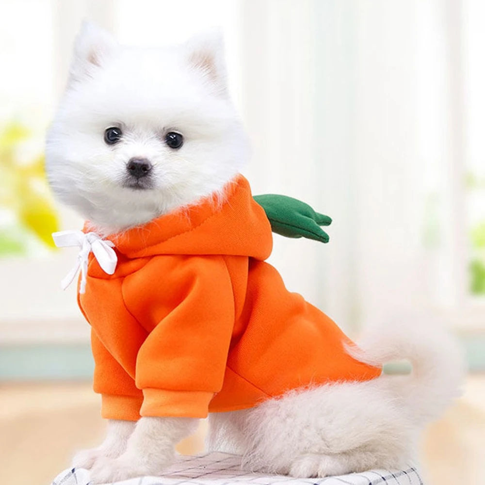 Fall Dog Hoodies Clothes Cute Plush Coat Hoodies Pet Costume Jacket For Puppy Cat French Bulldog Chihuahua Small Dog Clothing