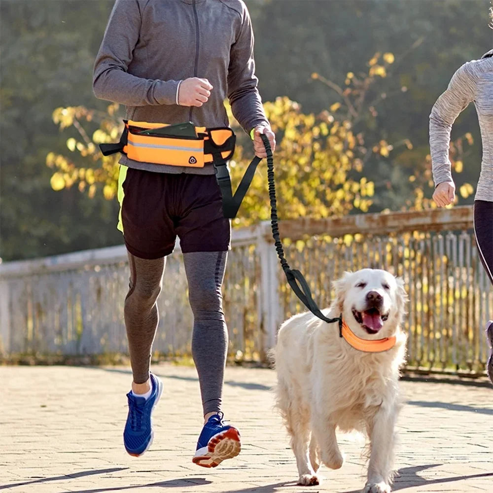 Hands Free Dog Leash for Running Walking Reflective Leash with Waist Bag Retractable Elastic Belt Dog Traction Rope Pet Products