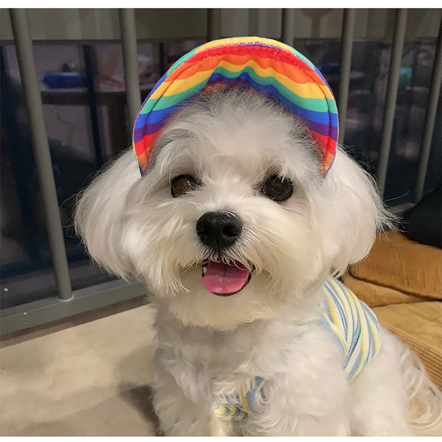 2024 New Pet Dog Sun Hat Summer Shade Baseball Cap Tongue Hat Cat Accessories Dog Hat Accessories Baseball Caps Designer Czapka