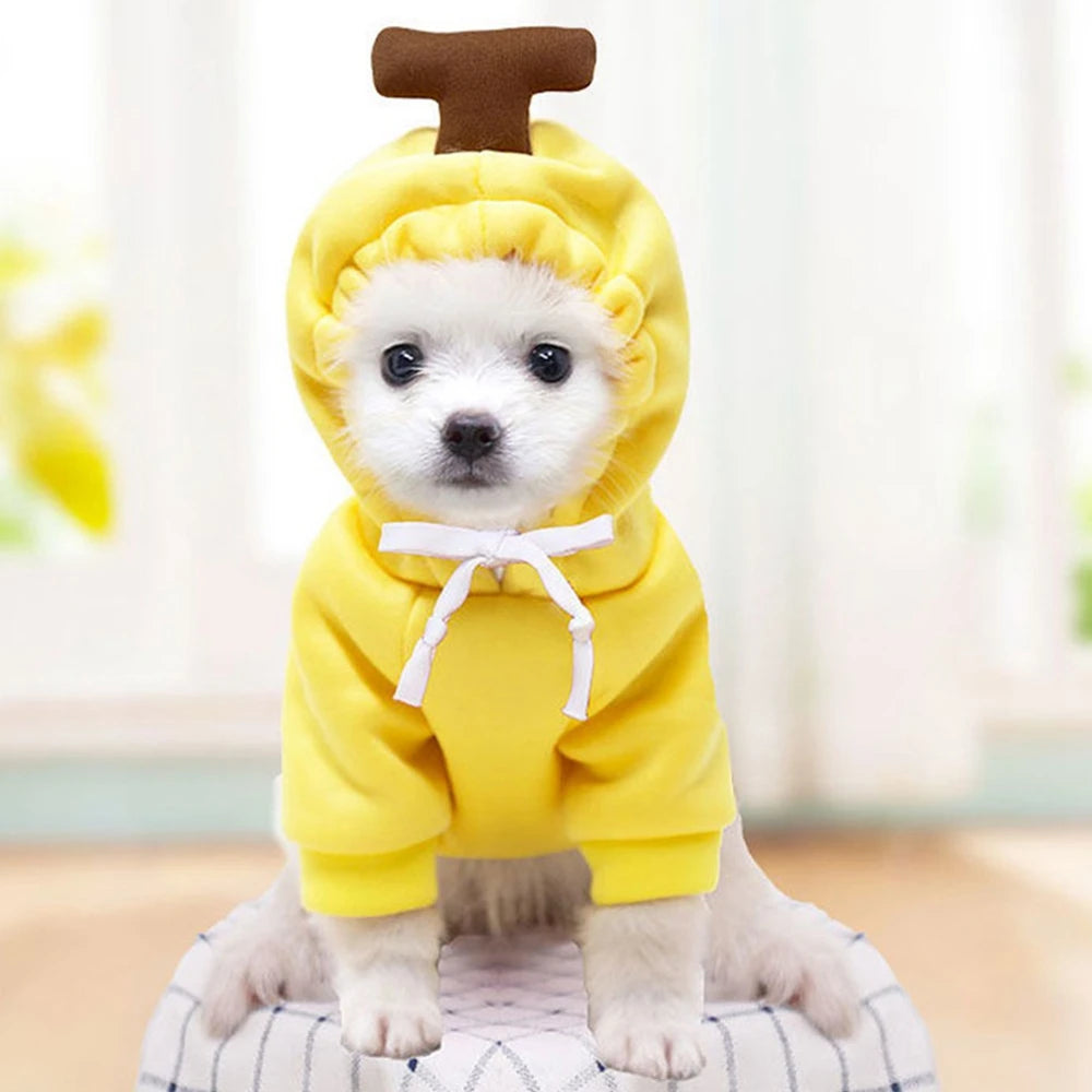 Fall Dog Hoodies Clothes Cute Plush Coat Hoodies Pet Costume Jacket For Puppy Cat French Bulldog Chihuahua Small Dog Clothing