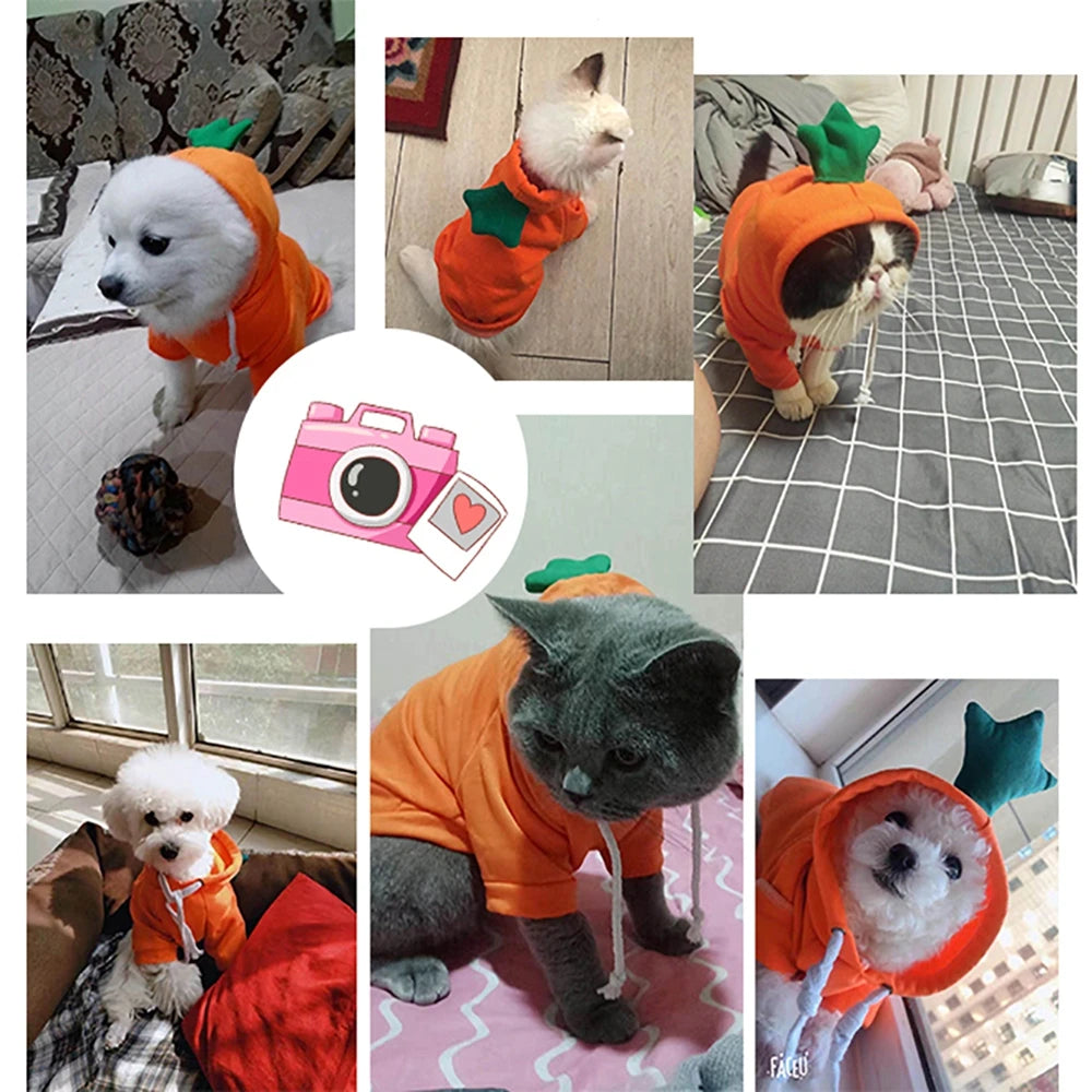 Fall Dog Hoodies Clothes Cute Plush Coat Hoodies Pet Costume Jacket For Puppy Cat French Bulldog Chihuahua Small Dog Clothing